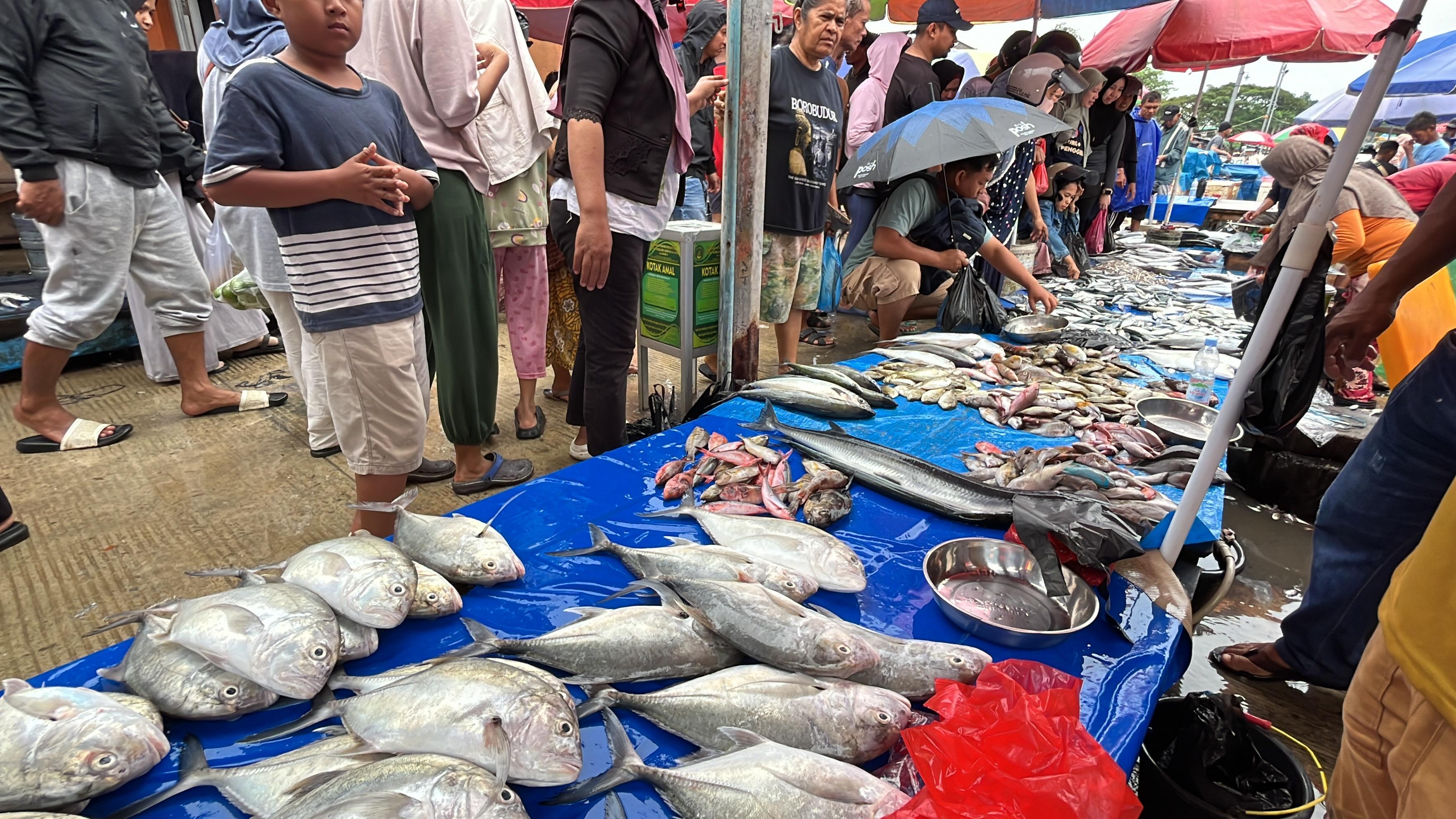 Harga-Ikan-di-Pasar-Pelelangan-Sodohoa-Kendari-Sultra-Termurah-Betebete-Rp5-Ribu-per-Kilogram.jpg