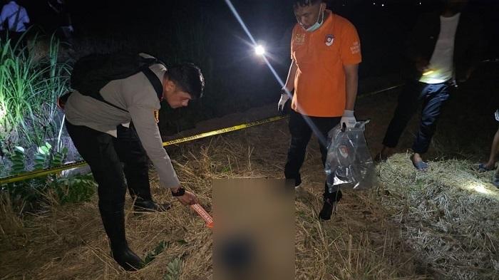Hasil Visum Kerangka Manusia Ditemukan di Kalaero Bombana Sulawesi Tenggara: Tak Ada Tanda Kekerasan
