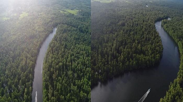 Hutan-Mangrove-di-Buton-Utara-Sultra-Suguhkan-Sensasi-Petualangan-Alam-Liar-Salah-Satu-yang-Terluas.jpg