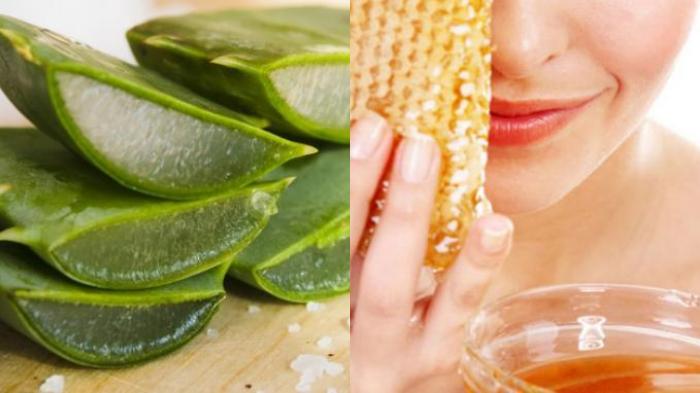 Ilustrasi-Lidah-Buaya-Aloe-vera-dan-Madu.jpg