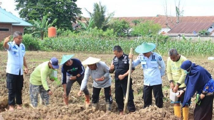 Jaga-Produktivitas-Pertanian-Warga-Binaan-Lapas-Kendari-Sultra-Kembali-Tanam-Bibit-Jagung.jpg