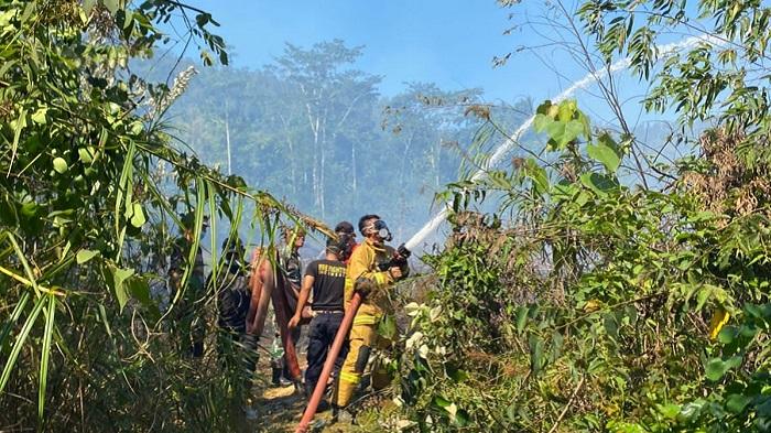 Kebakaran-3-Hektare-Lahan-di-Konawe-Utara-2-Armada-dan-12-Personel-Damkar-Berjibaku-Padamkan-Api.jpg
