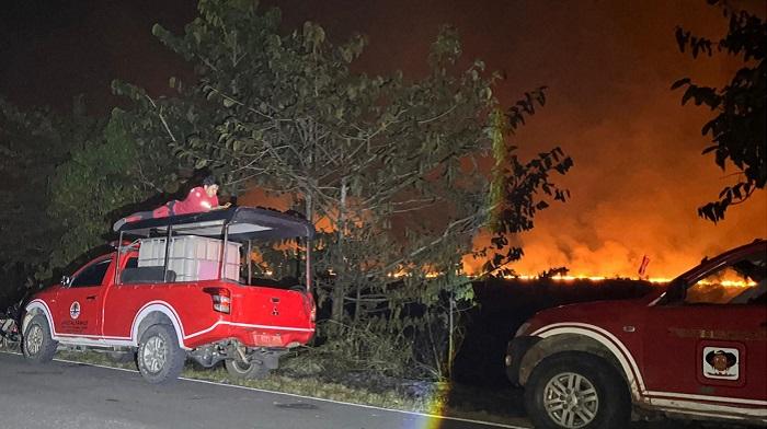 Kebakaran Taman Nasional Rawa Aopa Bombana Sulawesi Tenggara Sudah 10 Jam, Api Belum Padam