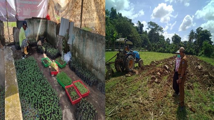 Lapas-Kendari-Garap-Lahan-Pertanian-Bakal-Ditanami-Bibit-Palawija-Bantuan-Dinas-Pertanian.jpg