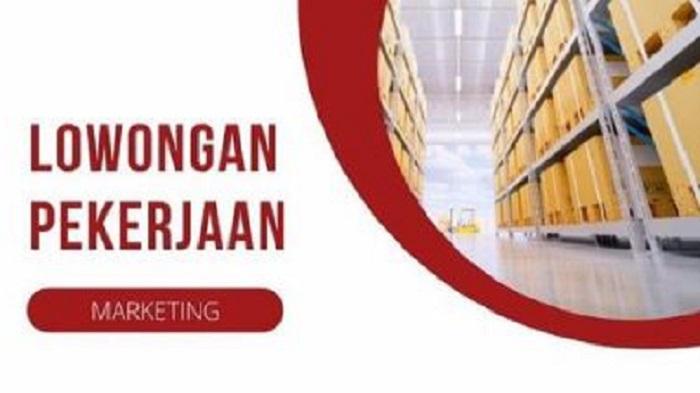 Lowongan-Kerja-Kendari-PT-Samudera-Timur-Cemerlang-Buka-Loker-Marketing-Kualifikasi-Cara-Daftar.jpg