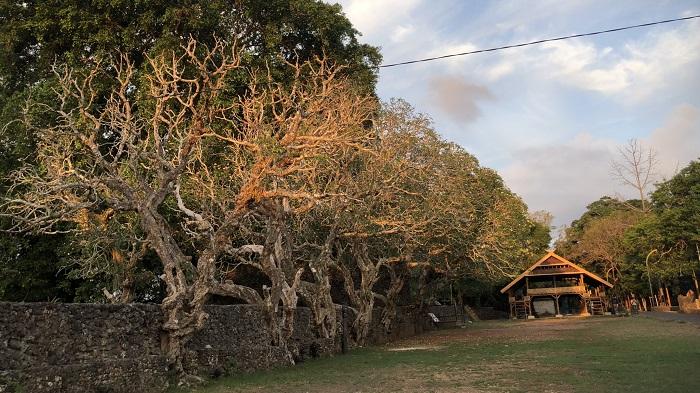 Mengenal-Benteng-Liya-Togo-Destinasi-Wisata-Sejarah-Wangi-Wangi-Selatan-Wakatobi-Sulawesi-Tenggara.jpg