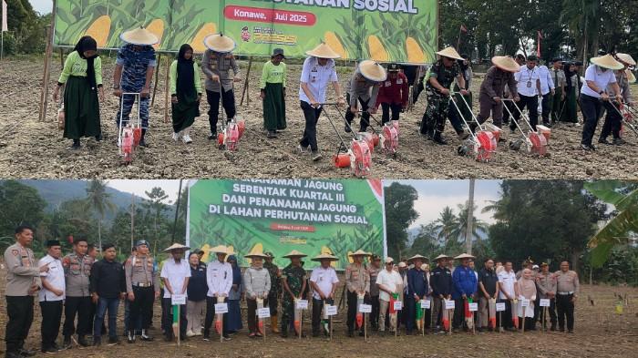 Momen Kapolda Sulawesi Tenggara hingga Sekda Sultra Tanam Jagung di Konawe, Kolaka Siap Lahan 250 Ha