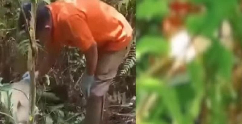 Pelaku Pembunuhan Bocah Perempuan di Konawe Selatan Sempat Ikut Cari Korban dan Arahkan Warga