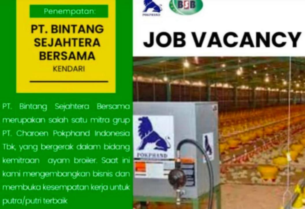 PT-Bintang-Sejahtera-Bersama-BSB-Kota-Kendari-buka-lowongan-kerja.jpg