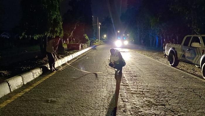 Pemotor Tewas di TKP Tak Pakai Helm saat Kecelakaan di Konawe, Diduga Bawa Motor Kecepatan Tinggi