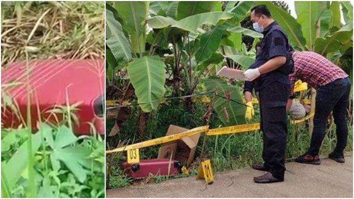 Sosok-mayat-dalam-koper-merah-di-Tenjo-Bogor-korban-mutilasi.jpg