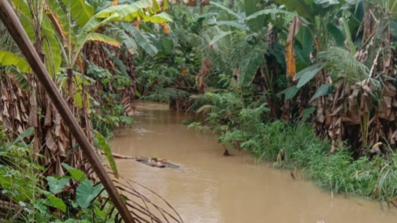 Sungai-Desa-Lalowosula-Kecamatan-Ladongi-Kolaka-Timur-lokasi-bocah-perempuan-diduga-jatuh.jpg