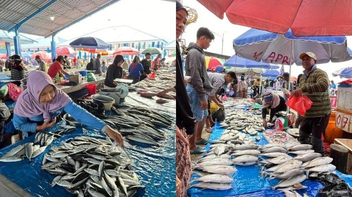 Daftar Harga Ikan Tempat Pelelangan Sodohoa Kendari Sulawesi Tenggara, Termurah Rp10 Ribu per Kilo