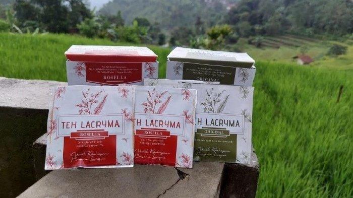 Tingkatkan Ekonomi Masyarakat Pedesaan, UI Kembangkan Teh dan Kopi Kesehatan Tanpa Kafein