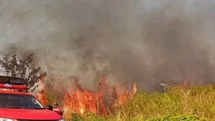 Viral Video Kebakaran Lahan di Taman PPA Bombana Sulawesi Tenggara, Asap Pekat Selimuti Jalan Raya
