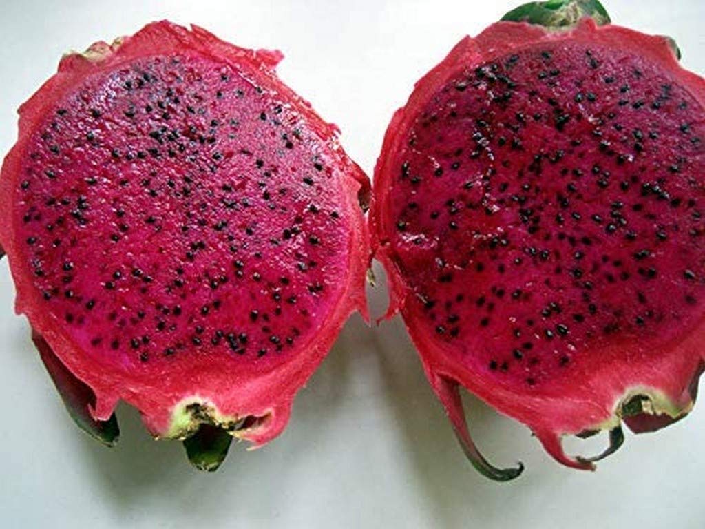 ilustrasi-buah-naga-manfaat-buah-naga-khasiat.jpg