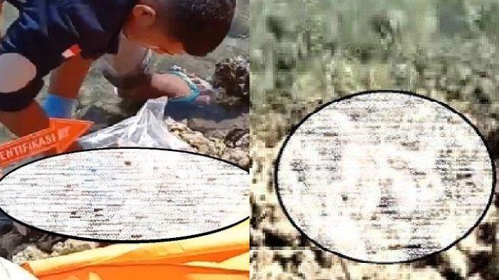 Penemuan Jasad Bayi Perempuan di Pinggir Laut Desa Lasalepa Muna, Diduga Hasil Hubungan Gelap