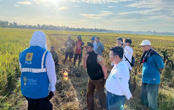 pompanisasi-sawah-PLN-Pinrang.jpg