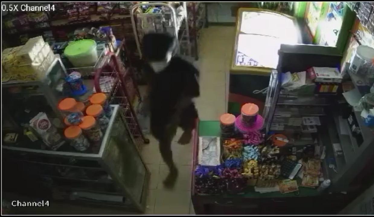 pria-terekam-kamera-CCTV-mencuri-uang-dan-rokok-di-warung-Pomalaa-Kolaka-Sultra.jpg