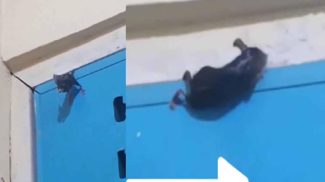 Video Viral Wanita Takut Keluar Dari Kamar Mandi Ada Tikus Tersangkut di Atas Pintu: Gue Mulai Lemas