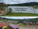 Agrowisata-California-terletak-di-Desa-Cialam-Konda-Konawe-Selatan.jpg