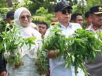 Cara-Gubernur-Sulawesi-Tenggara-Bangun-Ketahanan-Pangan-Berbasis-Agromaritim-13-Program-Prioritas.jpg
