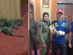 Damkar-evakuasi-2-ekor-kuskus-di-atas-lemari-ruang-rapat-Kantor-Bupati-Kolaka-Sulawesi-Tenggara.jpg