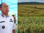 Gubernur-Sulawesi-Tenggara-Bentuk-33-Brigade-Pangan-Kelola-6745-Hektare-Sawah-Baru-dari-Kementan.jpg