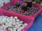 Harga-Cabai-Merah-Keriting-hingga-Telur-Naik-di-Konawe-Utara-Sulawesi-Tenggara-Bawang-Turun.jpg