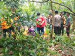 Inilah-kronologi-pencarian-lansia-hilang-di-kebun-coklat-Kolaka-Timur.jpg