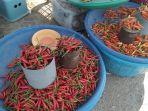 cabai-rawit-di-Baubau.jpg