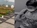 kucing-menunggu-di-makam-eril.jpg