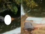 seorang-pria-hendak-selfie-dekat-buaya-dikira-patung-ternyata-hidup-tangan-digigit-berhasil-selamat.jpg