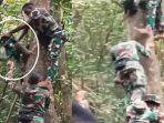 video-viral-momen-TNI-yang-hendak-menyelamatkan-kuskus-malah-berujung-kocak.jpg