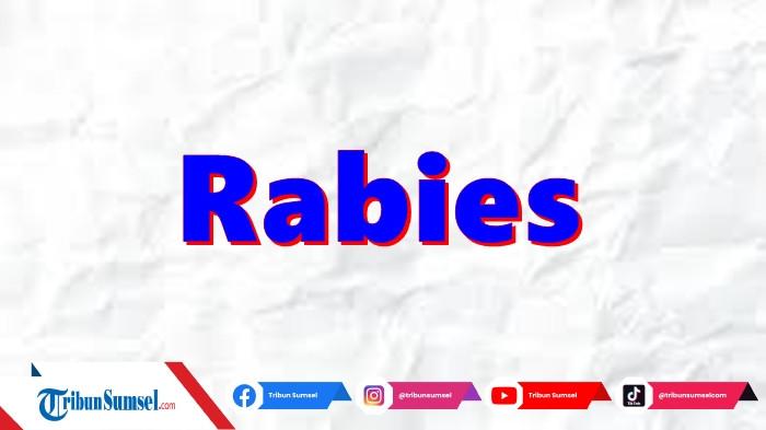 6 Warga Muara Sungai Prabumulih Positif Rabies Usai Digigit Anjing, Anak-anak Turut Jadi Korban