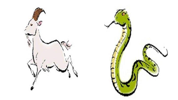 Inilah 7 Shio yang Akan Banjir Rejeki di Tahun Kelinci Air 2023, Ada Shio Kuda, Naga