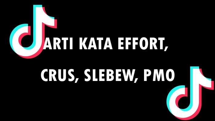 Arti Kata Effort, Crus, Slebew, PMO, Daftar Bahasa Gaul Terbaru 2022 Viral di Tiktok