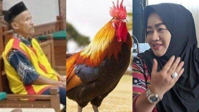 Awal Mula Mbah Suyatno Dituduh Bu Kades Curi Ayam Seharga Rp4,5 Juta, Berawal Beli Ayam di Pasar