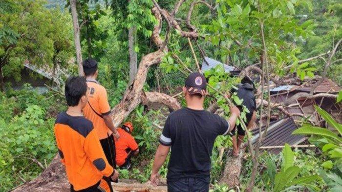 Sosok Funny Justine dan Kim Hyoeun, WNA Tewas Tertimpa Pohon Tumbang di Monkey Forest Ubud Bali