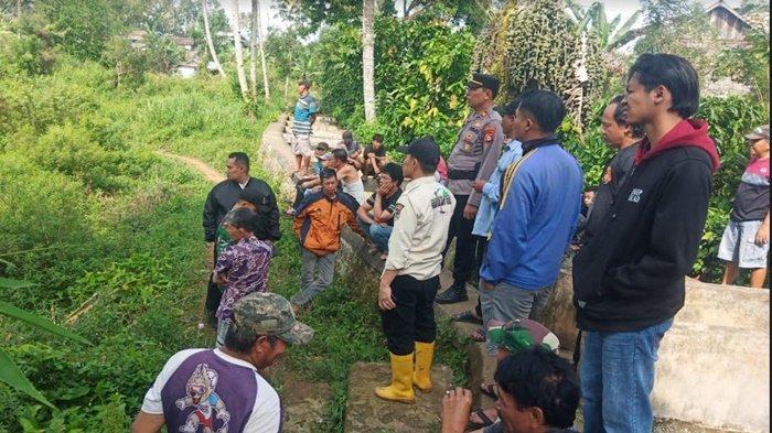 Heboh, Beruang Masuk Kampung di Pagar Alam, Terlihat Bergelantungan di Pepohonan