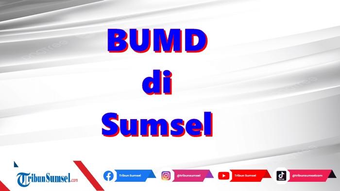 Daftar 45 BUMD di Pemkab/ Pemkot di Sumsel, 5 BUMD Milik Pemprov Sumsel Disebut Cik Ujang Tak Sehat