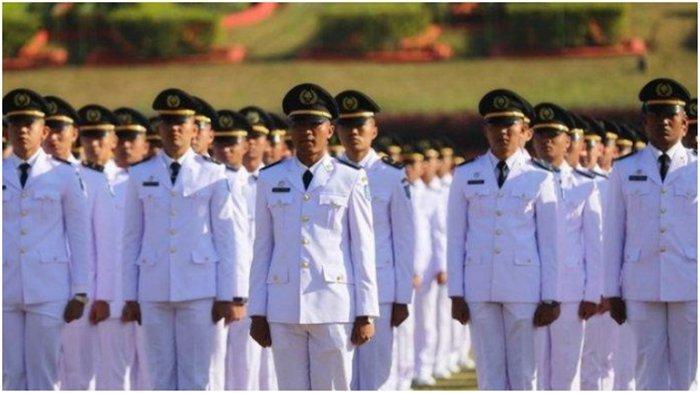 Daftar 8 Sekolah Kedinasan Gratis 2024, Lulusan Langsung Kerja Jadi CPNS, Abdi Negara