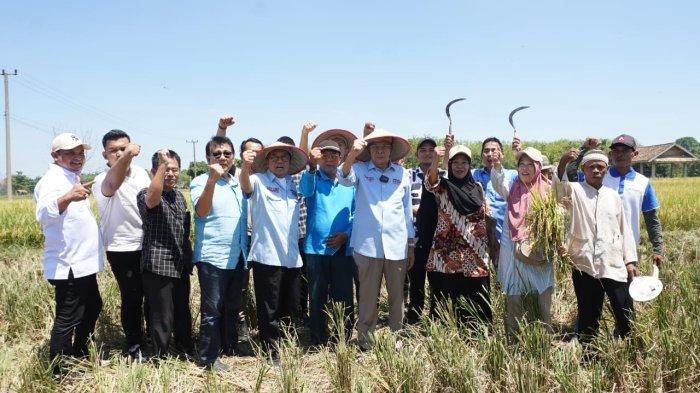 Hadir Saat Panen Raya di OKU Timur, Matahati Janjikan Bibit dan Pupuk Berkelanjutan Bagi Petani