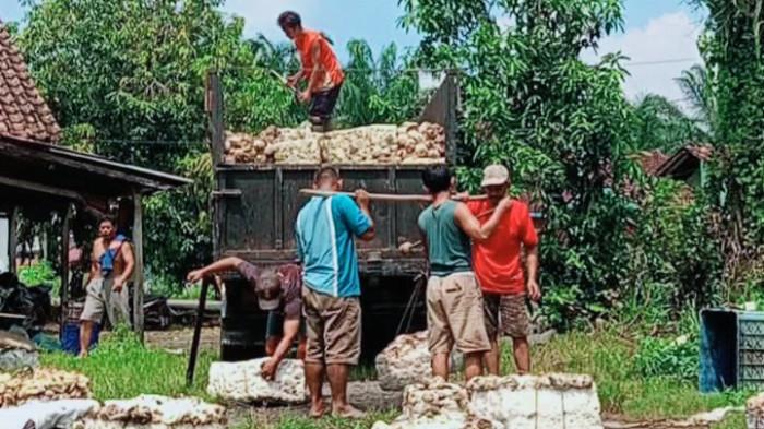 Harga Getah Karet Mingguan di OKI Tak Ada Kenaikan Dalam Sebulan Terakhir, Rp 12 Ribu Perkilo