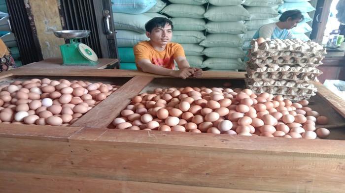 Harga Telur Ayam di Kabupaten OKU Sumsel Hari ini Turun, Cek Juga Rincian Harga Telur Puyuh & Bebek
