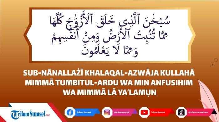 Arti Subhanalladzi Khalaqal Azwaja, Surat Yasin Ayat 36, Allah Menciptakan Sesuatu Berpasangan