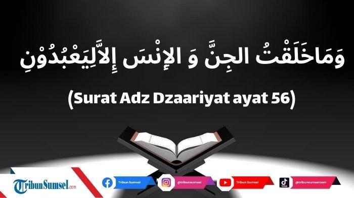 Tormoz orqali jinsiy aloqani tomosha qiling