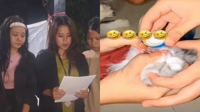 Sosok 3 Wanita di Padang Cekoki Kucing dengan Miras Berujung Minta Maaf, Perbuatan Keji Lain Terkuak