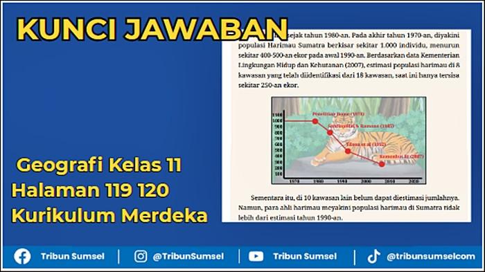 Kunci Jawaban Geografi Kelas 11 Halaman 119 120 Kurikulum Merdeka, Grafik Harimau Sumatra