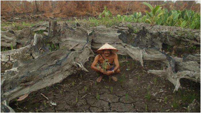 Kasihan Mereka Kerja Serabutan, Warga Transmigrasi Kesulitan, Lahan Olahan Belum Produktif -2